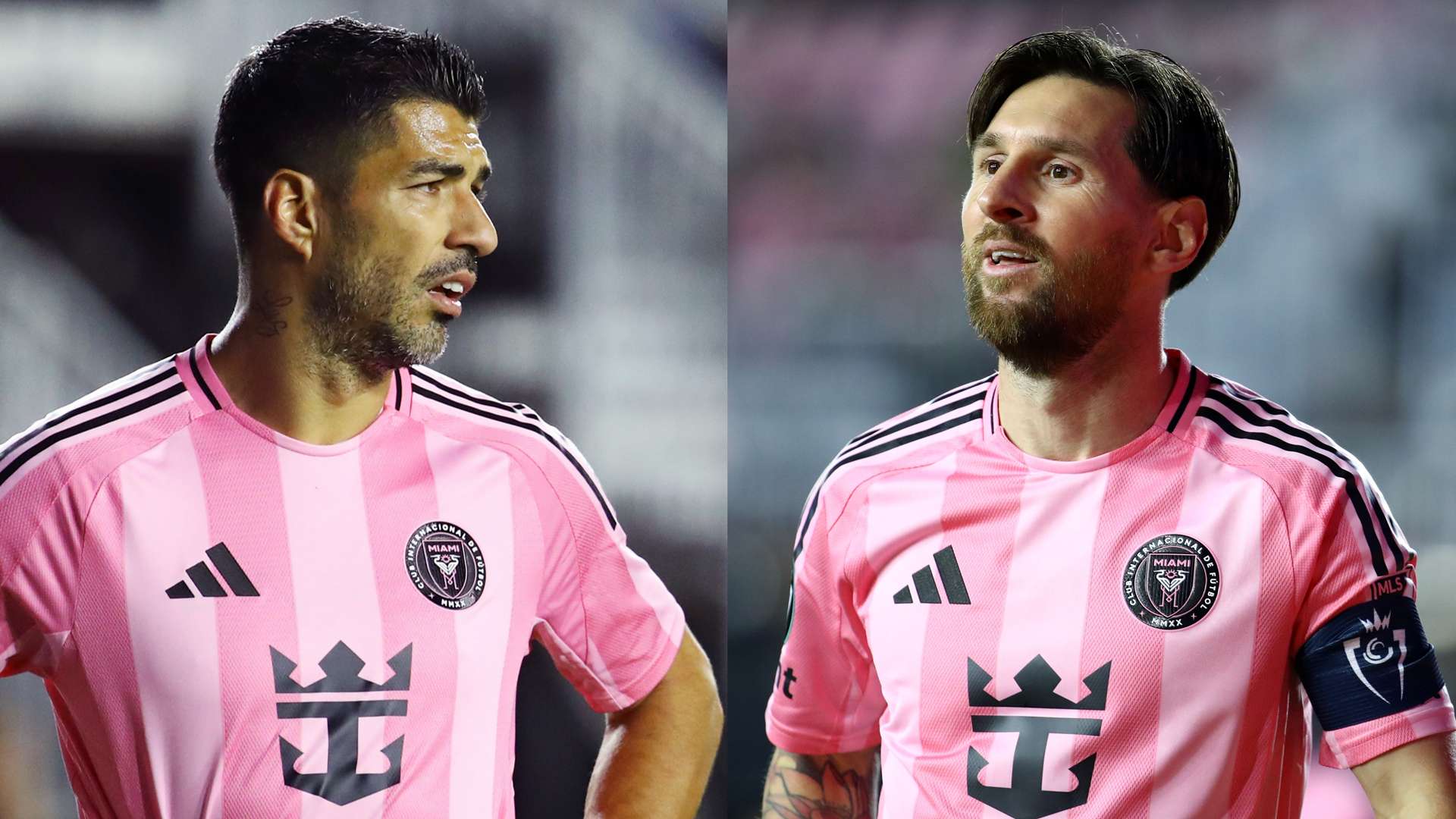 手来说都是 手来说都是