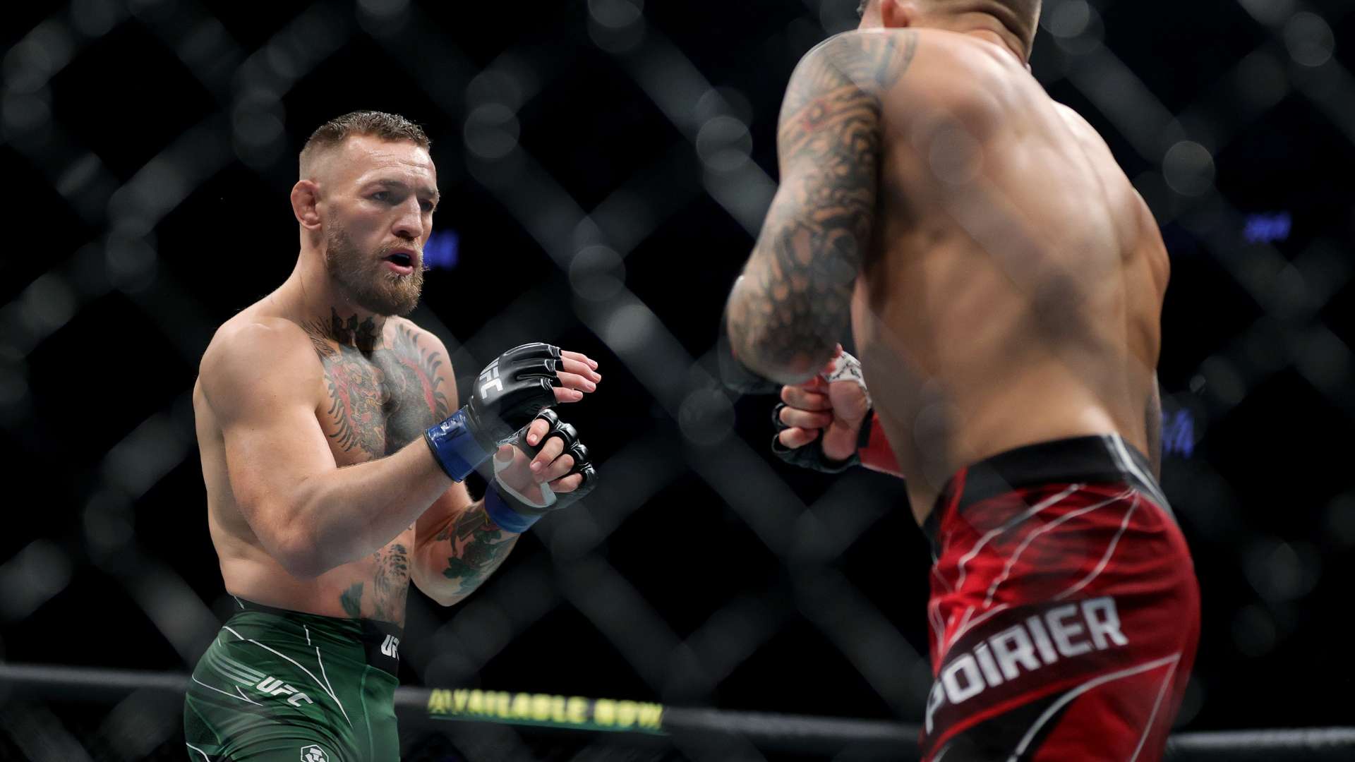 不可或缺的 不可或缺的